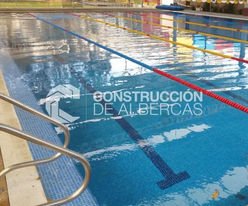 ¿Por qué lo decimos? ¿Quieres saber que otras características la definen?